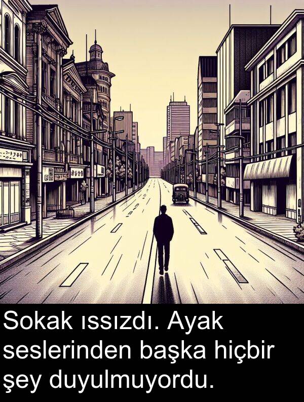 hiçbir: Sokak ıssızdı. Ayak seslerinden başka hiçbir şey duyulmuyordu.
