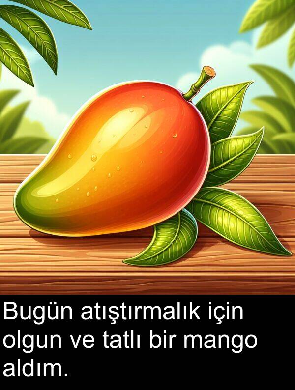 atıştırmalık: Bugün atıştırmalık için olgun ve tatlı bir mango aldım.