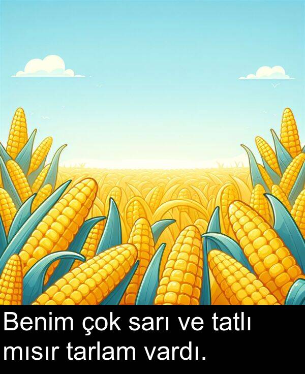 sarı: Benim çok sarı ve tatlı mısır tarlam vardı.