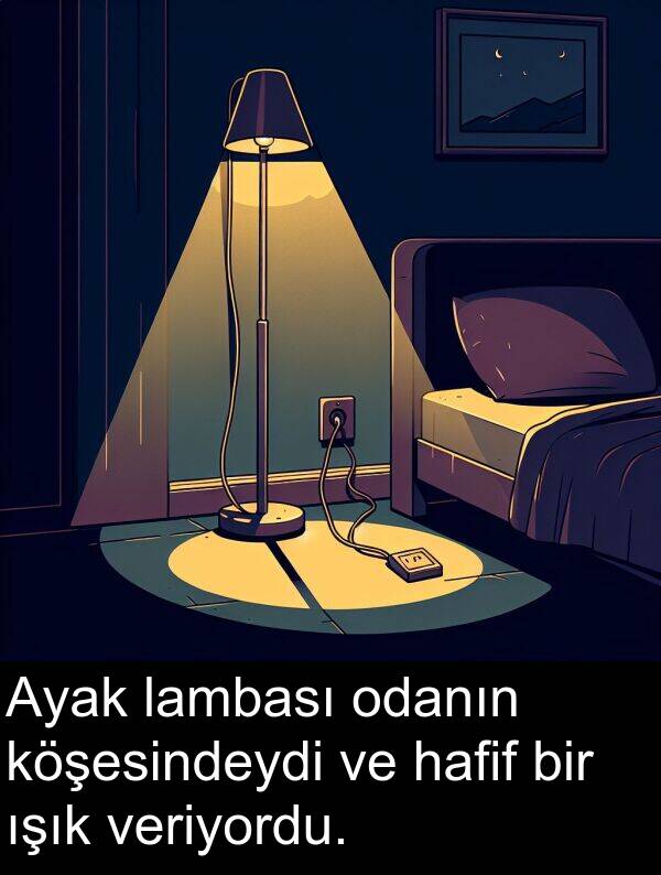veriyordu: Ayak lambası odanın köşesindeydi ve hafif bir ışık veriyordu.