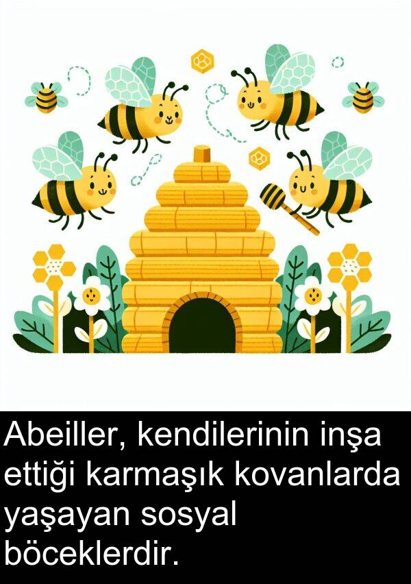 yaşayan: Abeiller, kendilerinin inşa ettiği karmaşık kovanlarda yaşayan sosyal böceklerdir.