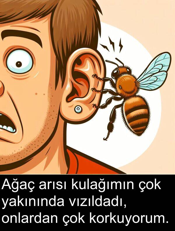 yakınında: Ağaç arısı kulağımın çok yakınında vızıldadı, onlardan çok korkuyorum.