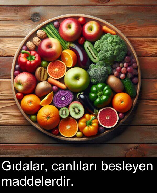 besleyen: Gıdalar, canlıları besleyen maddelerdir.