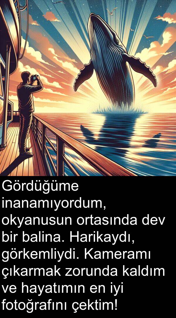 kaldım: Gördüğüme inanamıyordum, okyanusun ortasında dev bir balina. Harikaydı, görkemliydi. Kameramı çıkarmak zorunda kaldım ve hayatımın en iyi fotoğrafını çektim!