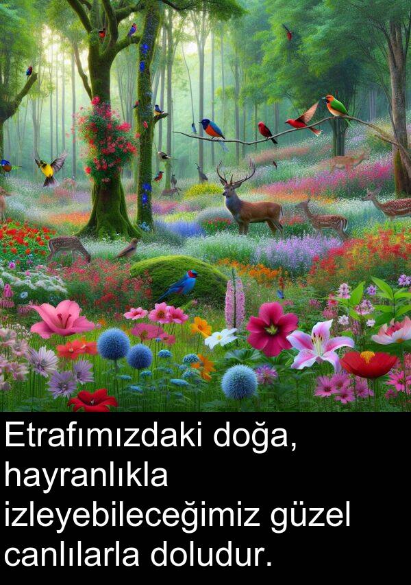 hayranlıkla: Etrafımızdaki doğa, hayranlıkla izleyebileceğimiz güzel canlılarla doludur.
