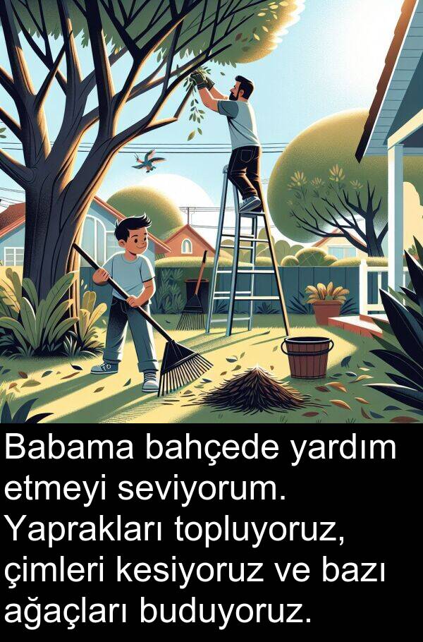 ağaçları: Babama bahçede yardım etmeyi seviyorum. Yaprakları topluyoruz, çimleri kesiyoruz ve bazı ağaçları buduyoruz.