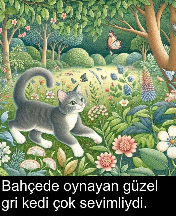 sevimliydi: Bahçede oynayan güzel gri kedi çok sevimliydi.