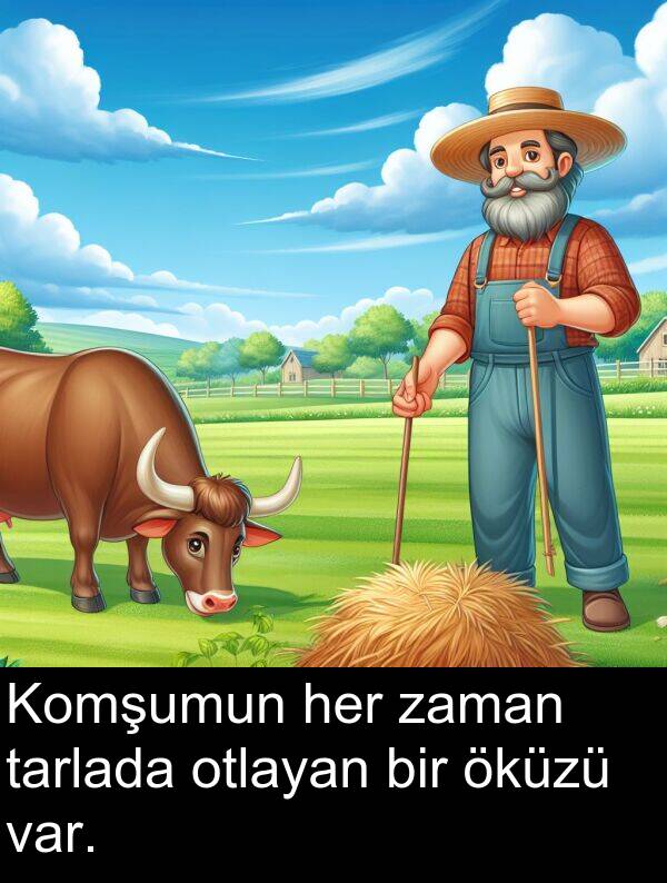 zaman: Komşumun her zaman tarlada otlayan bir öküzü var.