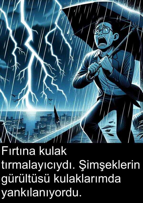 gürültüsü: Fırtına kulak tırmalayıcıydı. Şimşeklerin gürültüsü kulaklarımda yankılanıyordu.