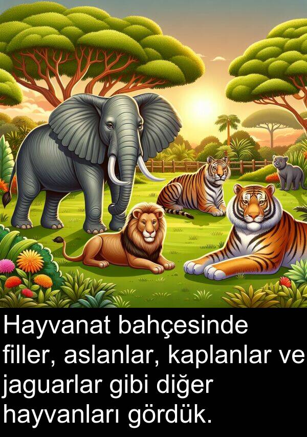 filler: Hayvanat bahçesinde filler, aslanlar, kaplanlar ve jaguarlar gibi diğer hayvanları gördük.