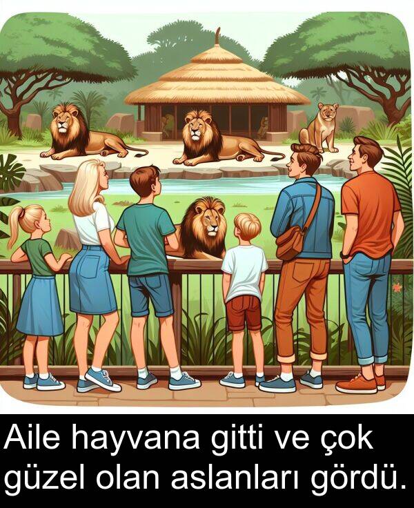 güzel: Aile hayvana gitti ve çok güzel olan aslanları gördü.