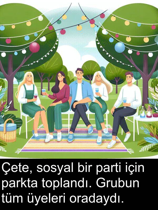 parti: Çete, sosyal bir parti için parkta toplandı. Grubun tüm üyeleri oradaydı.