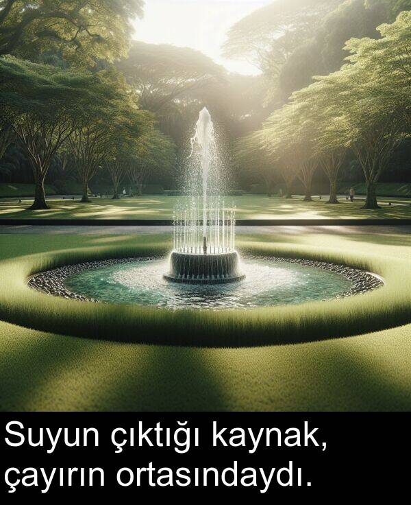 çıktığı: Suyun çıktığı kaynak, çayırın ortasındaydı.