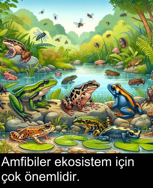 için: Amfibiler ekosistem için çok önemlidir.