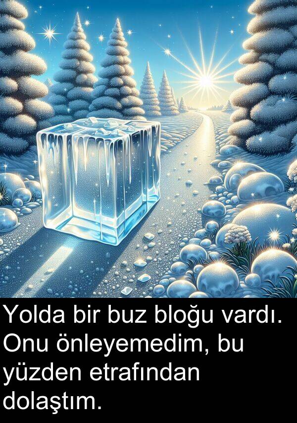 vardı: Yolda bir buz bloğu vardı. Onu önleyemedim, bu yüzden etrafından dolaştım.