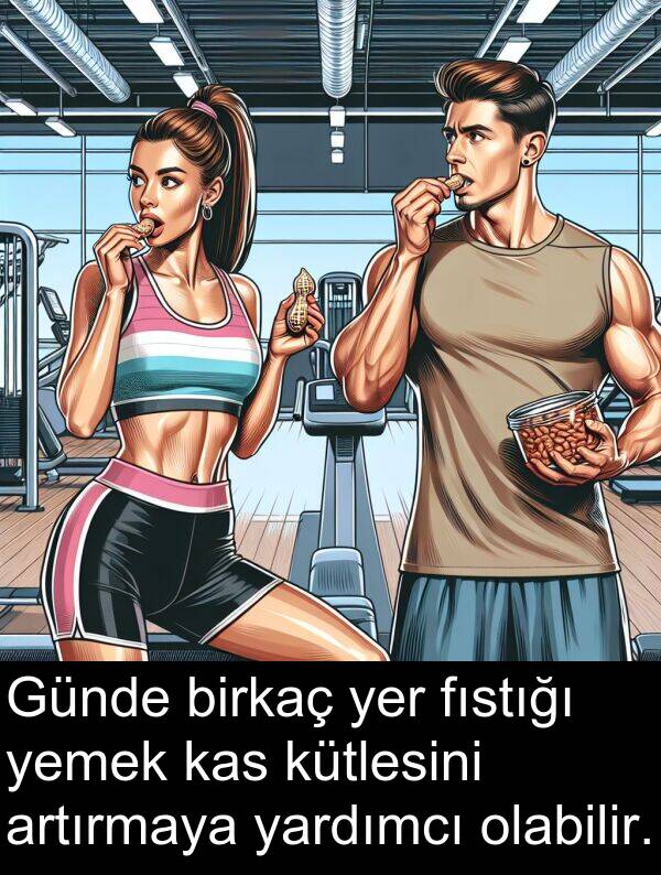 fıstığı: Günde birkaç yer fıstığı yemek kas kütlesini artırmaya yardımcı olabilir.