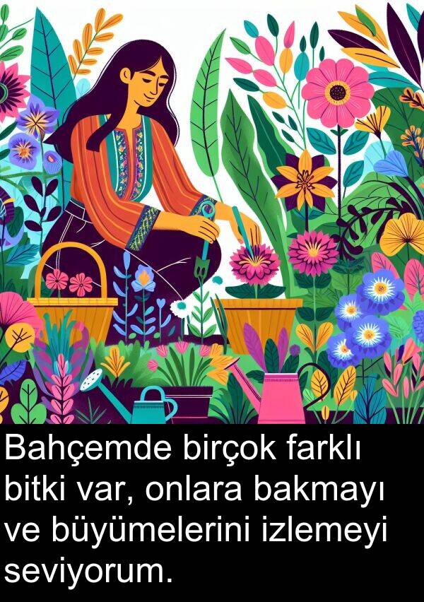 bitki: Bahçemde birçok farklı bitki var, onlara bakmayı ve büyümelerini izlemeyi seviyorum.