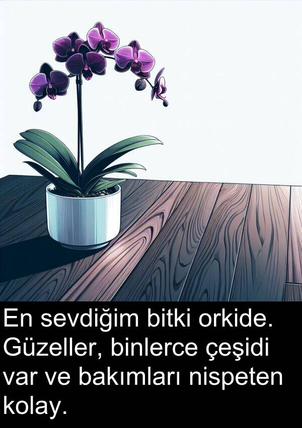 nispeten: En sevdiğim bitki orkide. Güzeller, binlerce çeşidi var ve bakımları nispeten kolay.