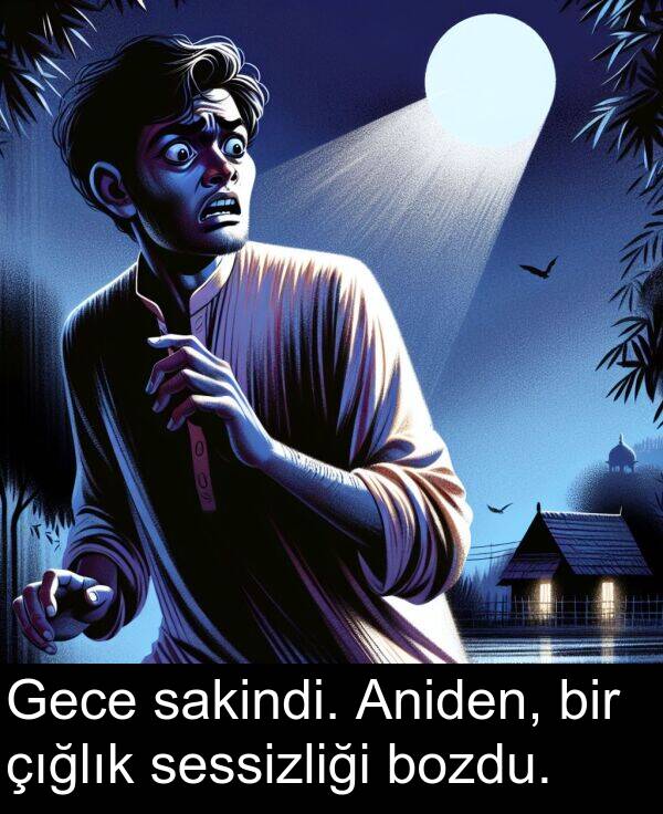 sakindi: Gece sakindi. Aniden, bir çığlık sessizliği bozdu.