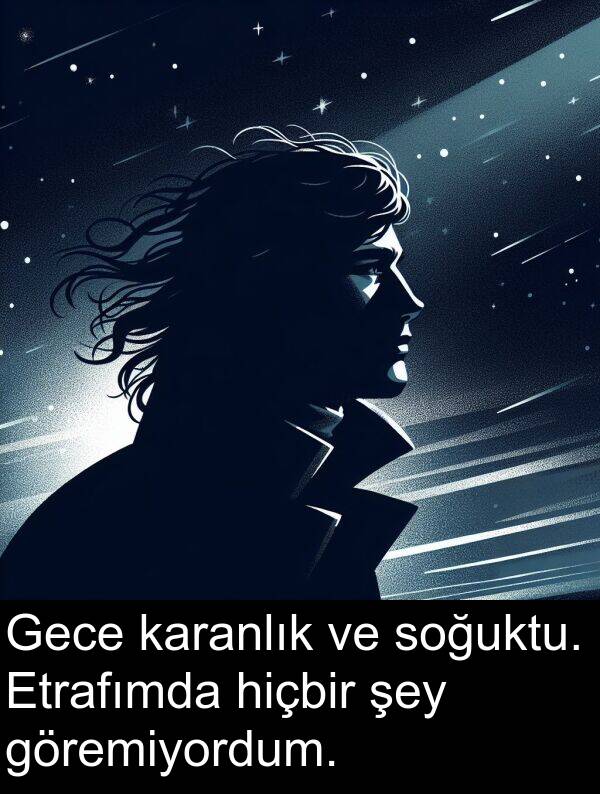 hiçbir: Gece karanlık ve soğuktu. Etrafımda hiçbir şey göremiyordum.