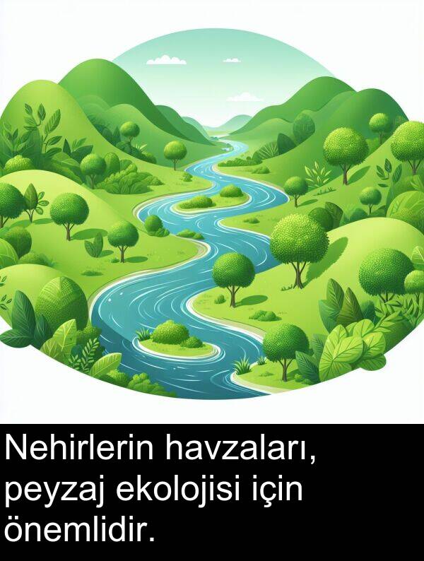 ekolojisi: Nehirlerin havzaları, peyzaj ekolojisi için önemlidir.