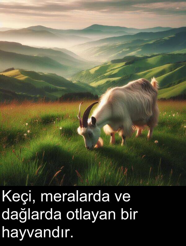 hayvandır: Keçi, meralarda ve dağlarda otlayan bir hayvandır.