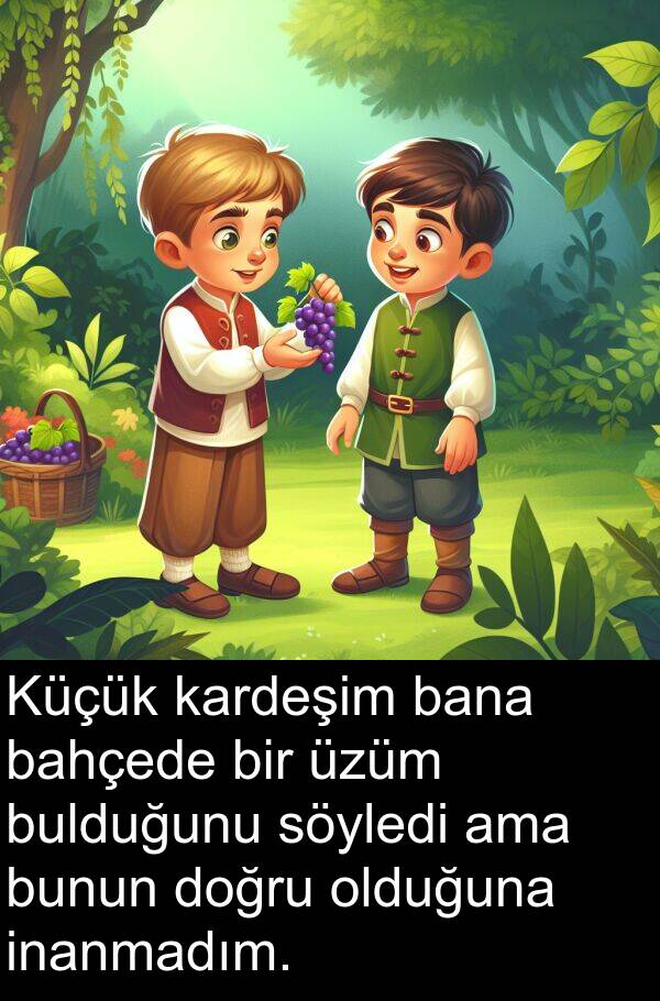 kardeşim: Küçük kardeşim bana bahçede bir üzüm bulduğunu söyledi ama bunun doğru olduğuna inanmadım.
