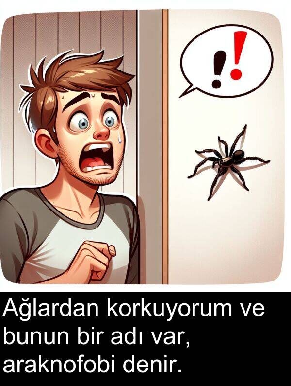 adı: Ağlardan korkuyorum ve bunun bir adı var, araknofobi denir.