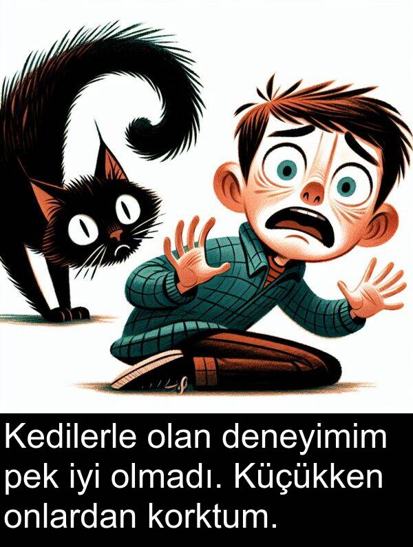 pek: Kedilerle olan deneyimim pek iyi olmadı. Küçükken onlardan korktum.