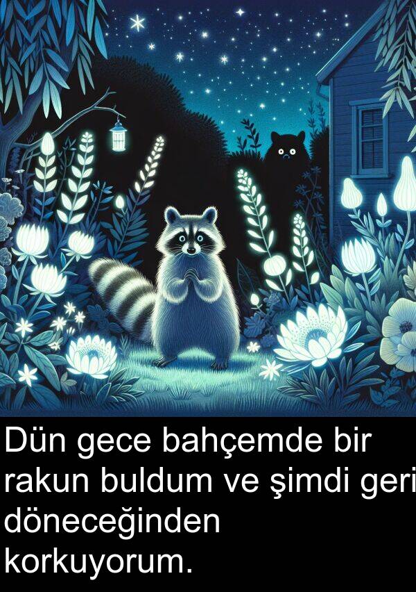 geri: Dün gece bahçemde bir rakun buldum ve şimdi geri döneceğinden korkuyorum.