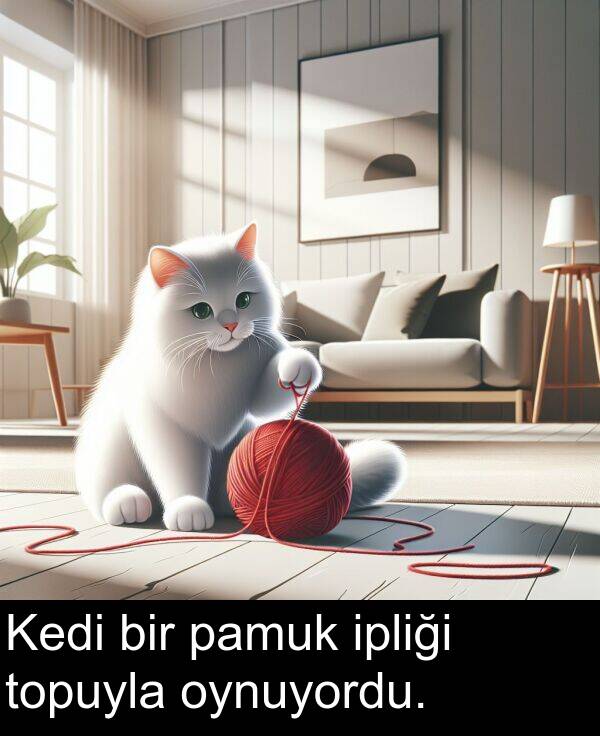 pamuk: Kedi bir pamuk ipliği topuyla oynuyordu.