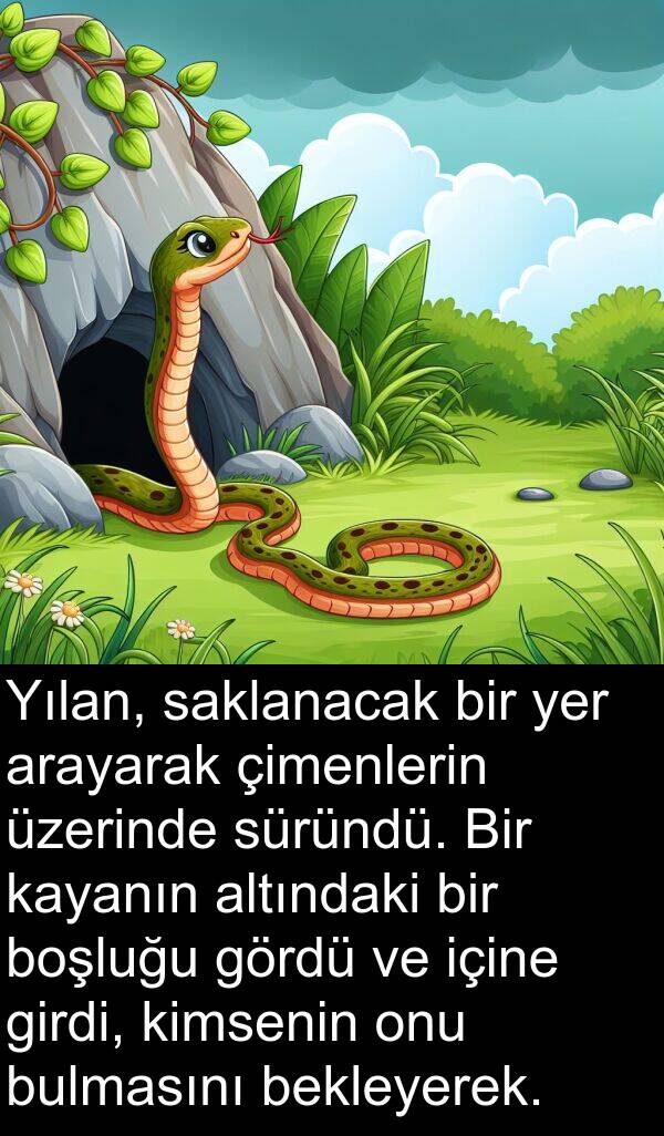 saklanacak: Yılan, saklanacak bir yer arayarak çimenlerin üzerinde süründü. Bir kayanın altındaki bir boşluğu gördü ve içine girdi, kimsenin onu bulmasını bekleyerek.