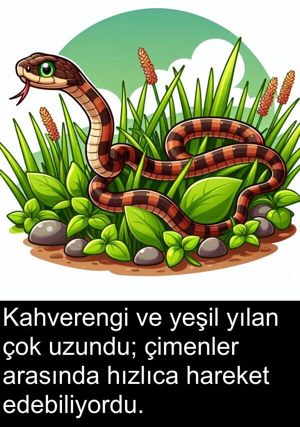hareket: Kahverengi ve yeşil yılan çok uzundu; çimenler arasında hızlıca hareket edebiliyordu.