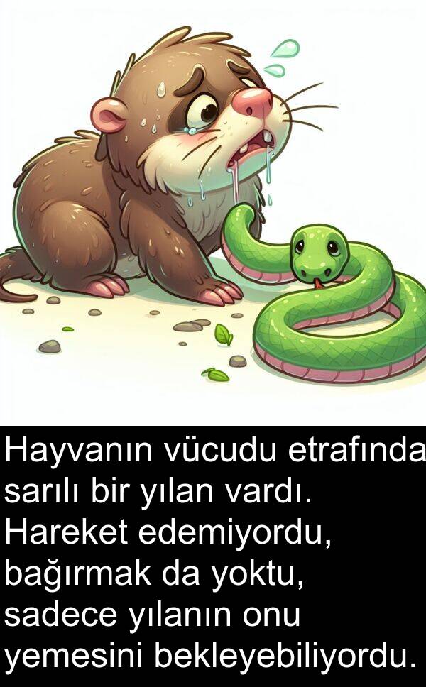sarılı: Hayvanın vücudu etrafında sarılı bir yılan vardı. Hareket edemiyordu, bağırmak da yoktu, sadece yılanın onu yemesini bekleyebiliyordu.