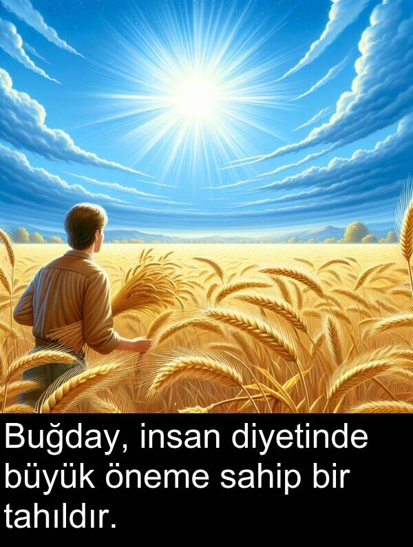 sahip: Buğday, insan diyetinde büyük öneme sahip bir tahıldır.
