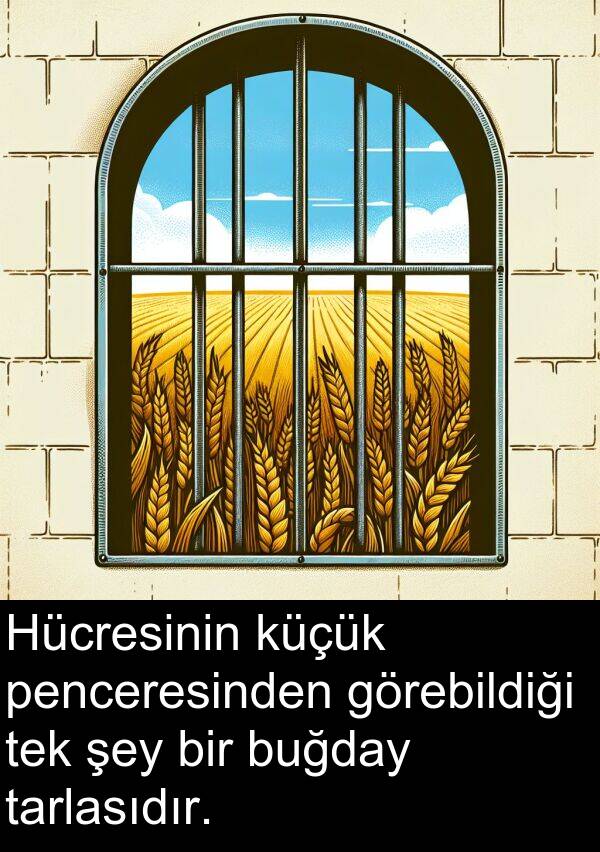 tarlasıdır: Hücresinin küçük penceresinden görebildiği tek şey bir buğday tarlasıdır.
