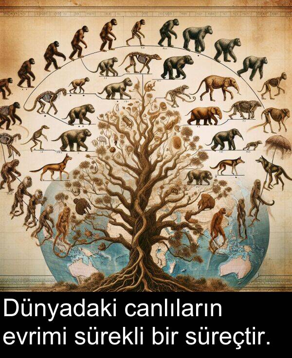 evrimi: Dünyadaki canlıların evrimi sürekli bir süreçtir.