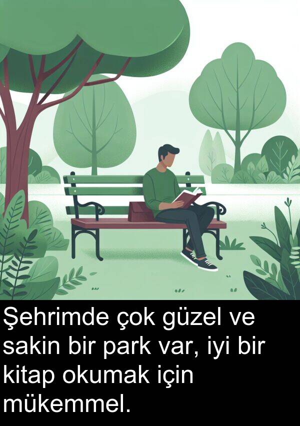 park: Şehrimde çok güzel ve sakin bir park var, iyi bir kitap okumak için mükemmel.