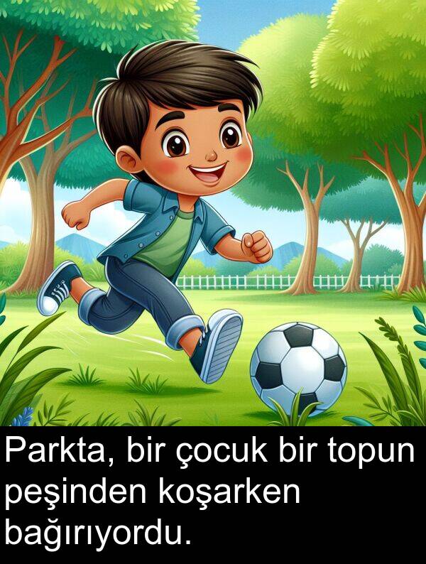 bağırıyordu: Parkta, bir çocuk bir topun peşinden koşarken bağırıyordu.