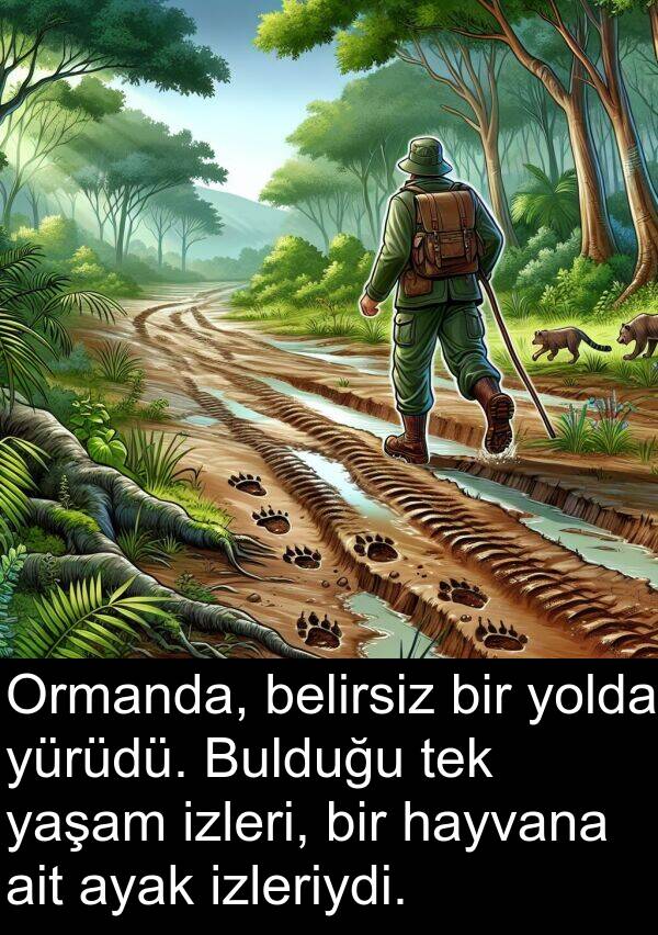 ait: Ormanda, belirsiz bir yolda yürüdü. Bulduğu tek yaşam izleri, bir hayvana ait ayak izleriydi.