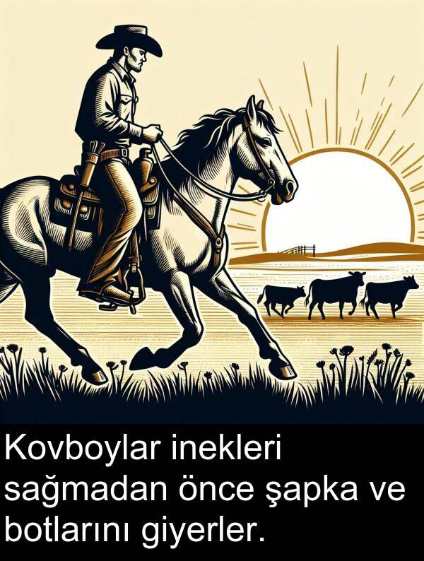 inekleri: Kovboylar inekleri sağmadan önce şapka ve botlarını giyerler.