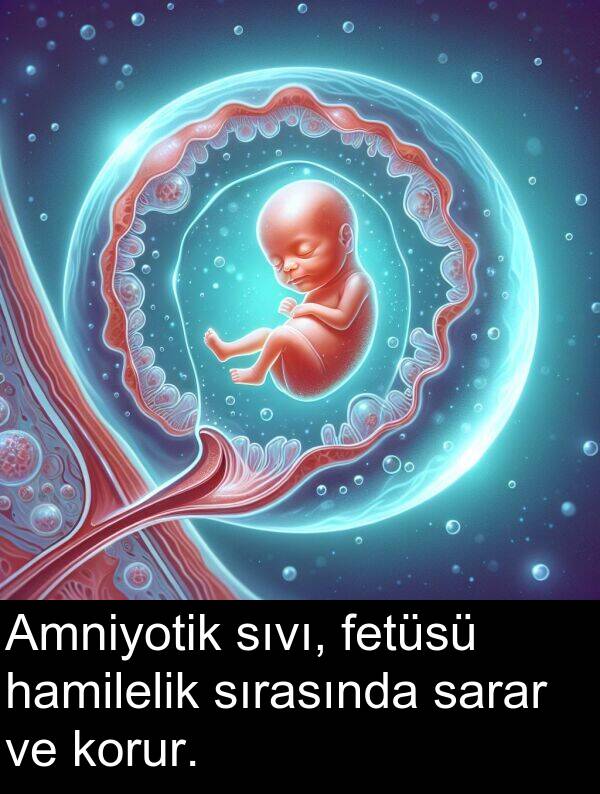 fetüsü: Amniyotik sıvı, fetüsü hamilelik sırasında sarar ve korur.