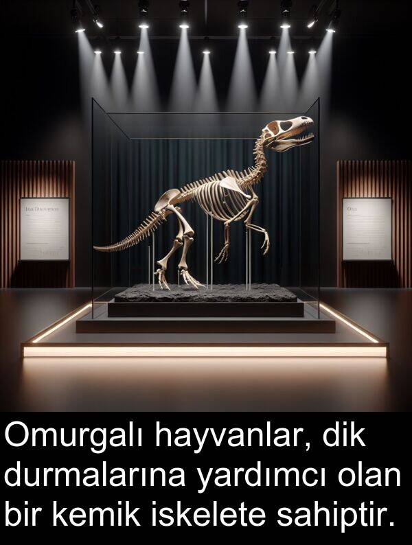 sahiptir: Omurgalı hayvanlar, dik durmalarına yardımcı olan bir kemik iskelete sahiptir.