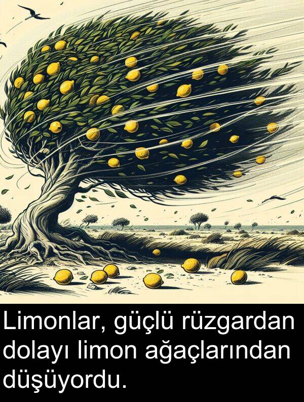 ağaçlarından: Limonlar, güçlü rüzgardan dolayı limon ağaçlarından düşüyordu.