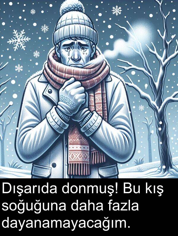 fazla: Dışarıda donmuş! Bu kış soğuğuna daha fazla dayanamayacağım.
