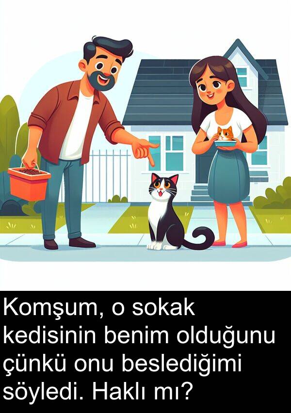kedisinin: Komşum, o sokak kedisinin benim olduğunu çünkü onu beslediğimi söyledi. Haklı mı?