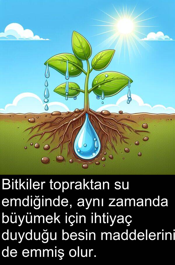 emdiğinde: Bitkiler topraktan su emdiğinde, aynı zamanda büyümek için ihtiyaç duyduğu besin maddelerini de emmiş olur.