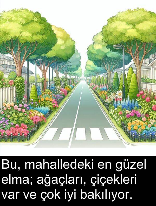 ağaçları: Bu, mahalledeki en güzel elma; ağaçları, çiçekleri var ve çok iyi bakılıyor.