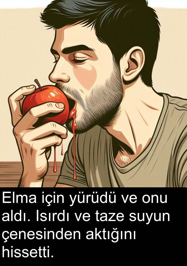 aktığını: Elma için yürüdü ve onu aldı. Isırdı ve taze suyun çenesinden aktığını hissetti.