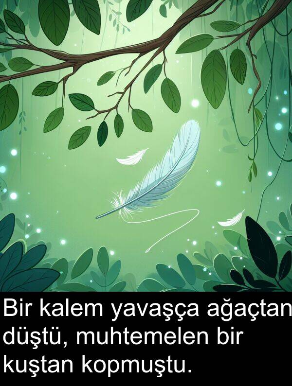 ağaçtan: Bir kalem yavaşça ağaçtan düştü, muhtemelen bir kuştan kopmuştu.